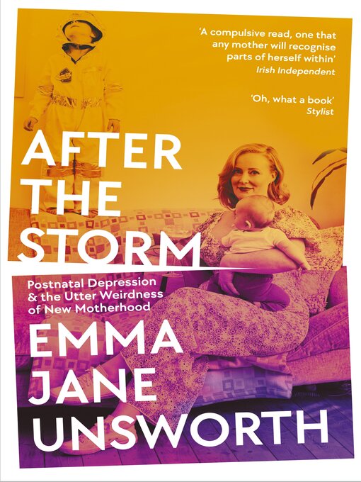 Cover image for After the Storm